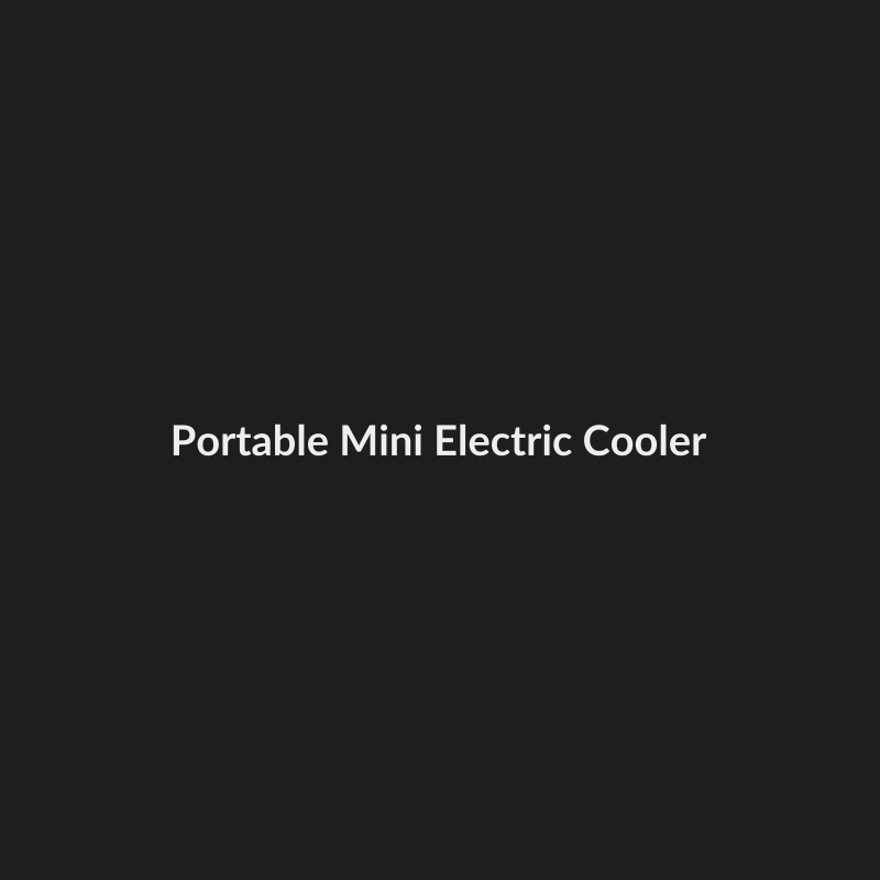 Portable Mini Electric Cooler & Warmer